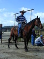 Thumbnail of b_P2120282.JPG
