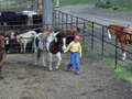 Thumbnail of b_P2120286.JPG