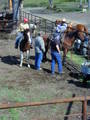 Thumbnail of b_P2120293.JPG