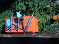 Thumbnail of b_P2120295.JPG