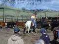 Thumbnail of b_P2120297.JPG