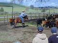 Thumbnail of b_P2120298.JPG