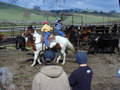 Thumbnail of b_P2120299.JPG