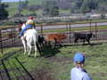 Thumbnail of b_P2120300.JPG