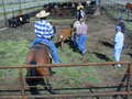 Thumbnail of b_P2120303.JPG