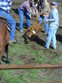Thumbnail of b_P2120304.JPG