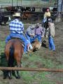 Thumbnail of b_P2120305.JPG