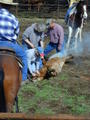 Thumbnail of b_P2120307.JPG