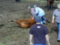 Thumbnail of b_P2120317.JPG