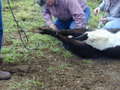 Thumbnail of b_P2120319.JPG