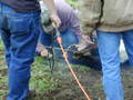 Thumbnail of b_P2120320.JPG