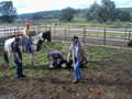 Thumbnail of b_P2120321.JPG