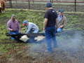 Thumbnail of b_P2120324.JPG