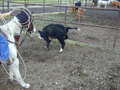 Thumbnail of b_P2120325.JPG