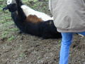 Thumbnail of b_P2120327.JPG