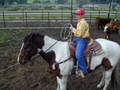 Thumbnail of b_P2120329.JPG