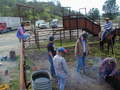 Thumbnail of b_P2120330.JPG