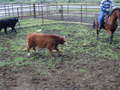 Thumbnail of b_P2120332.JPG