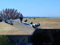 Thumbnail of P4050400.JPG