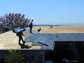 Thumbnail of P4050402.JPG