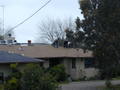 Thumbnail of P4080431.JPG
